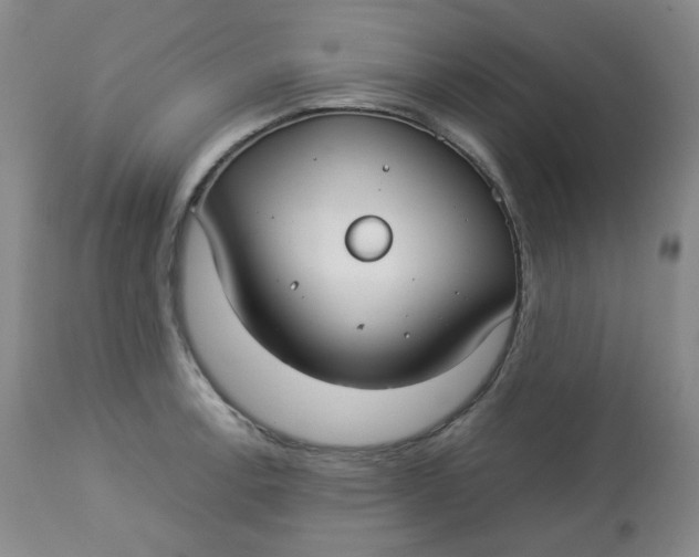 X0000112831138200909111351