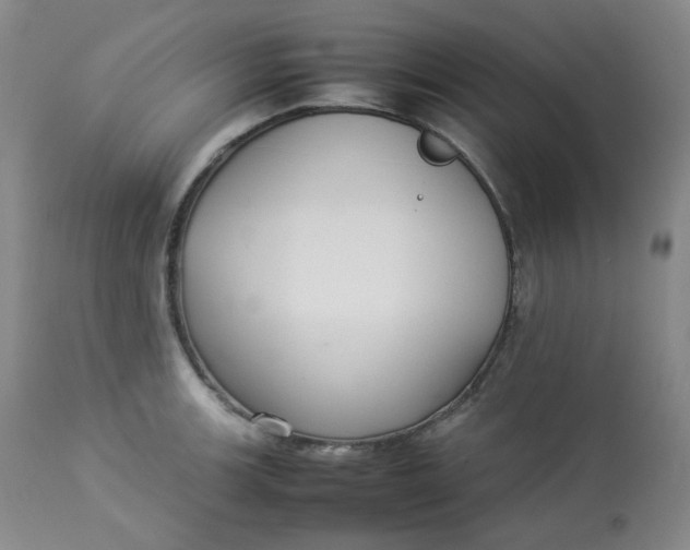 X0000112831139200909111351