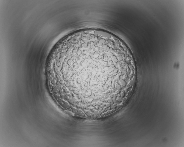 X0000112831142200909111352