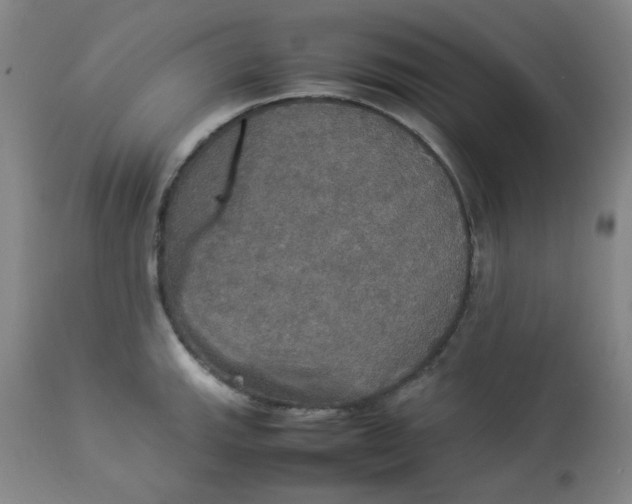 X0000112831143200909111352