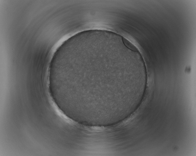 X0000112831144200909111352