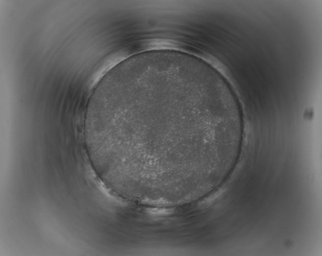 X0000112831145200909111352