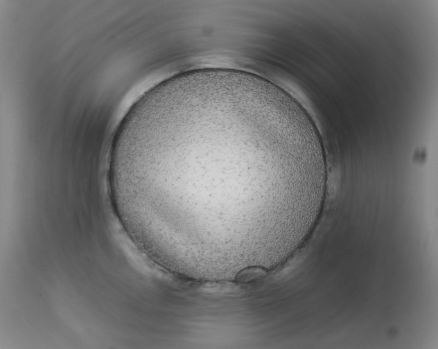 X0000112831146200909111352