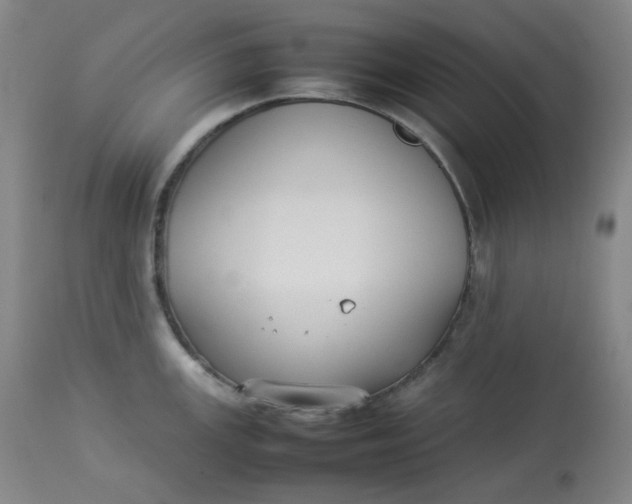 X0000112831147200909111352