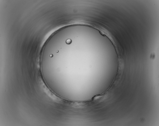 X0000112831148200909111352