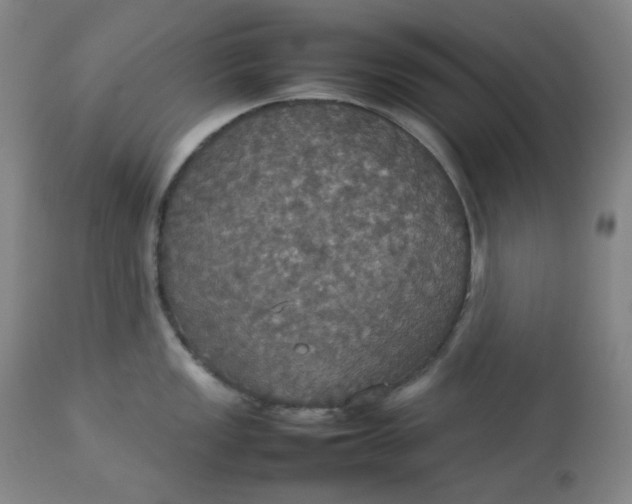 X0000112831149200909111352