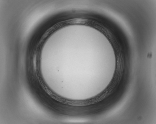 X0000112831150200909111352