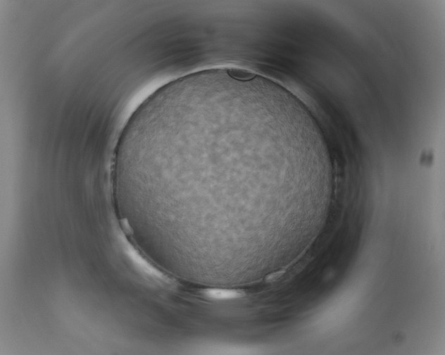 X0000112831151200909111352