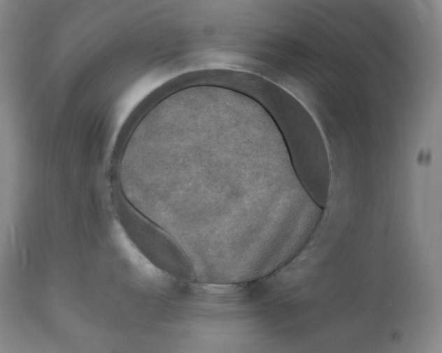 X0000112831152200909111352