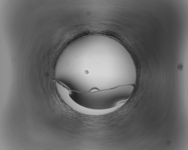 X0000112831153200909111351