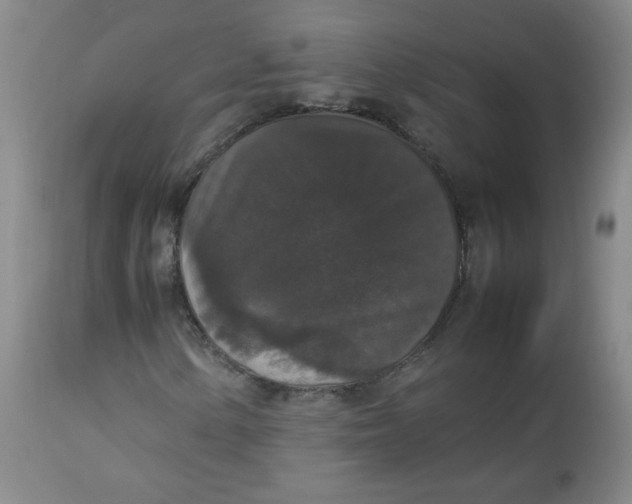 X0000112831154200909111351