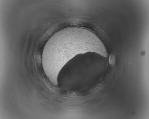 X0000112831155200909111351