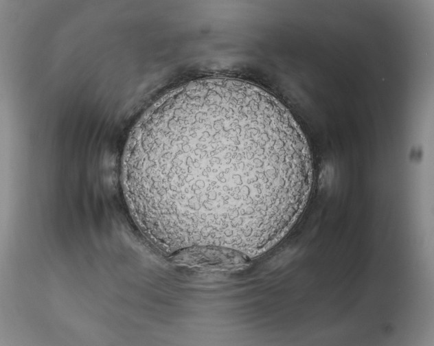 X0000112831156200909111351