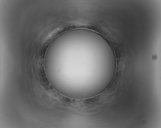 X0000112831157200909111351