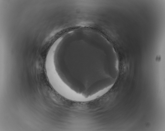 X0000112831158200909111351