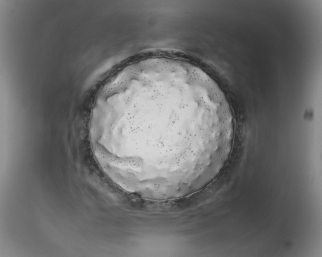 X0000112831159200909111351