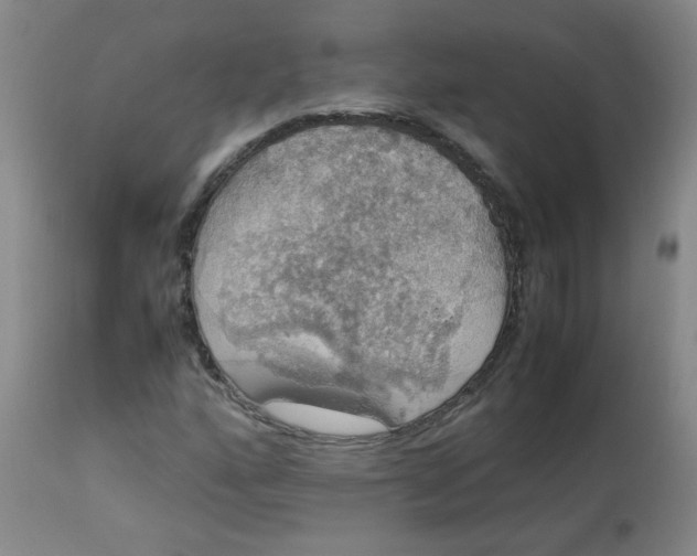 X0000112831160200909111351