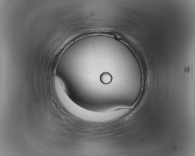 X0000112831161200909111351