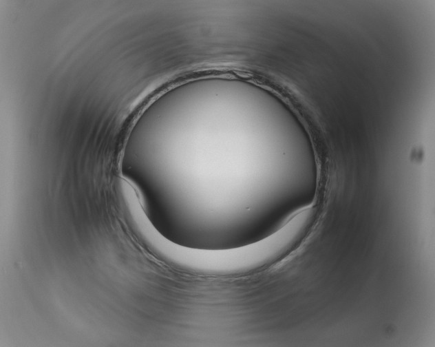 X0000112831162200909111351