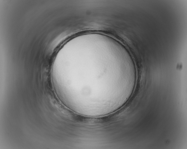 X0000112831163200909111351