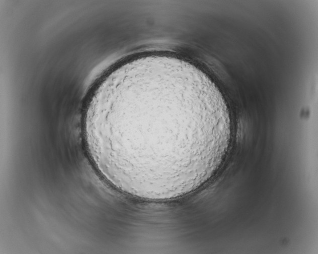 X0000112831164200909111351