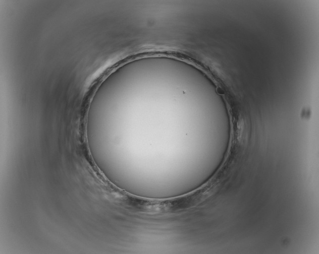 X0000112831165200909111350