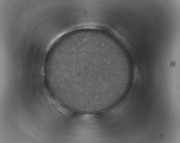 X0000112831166200909111350