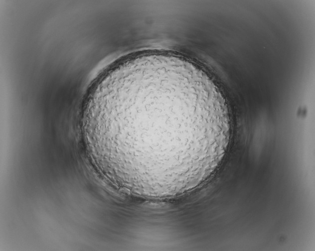 X0000112831168200909111350