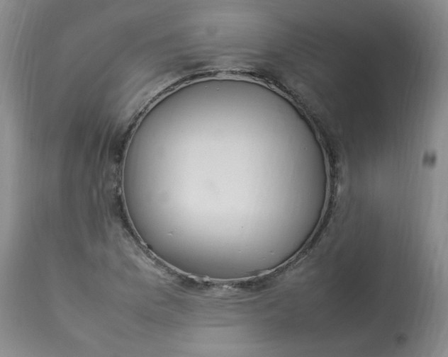 X0000112831169200909111350