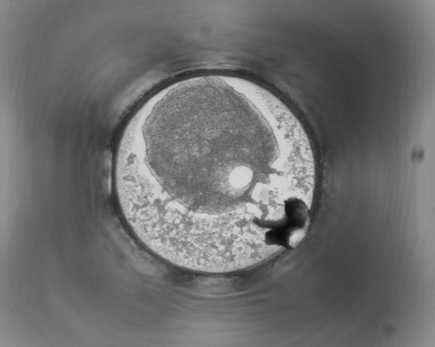 X0000112831171200909111350