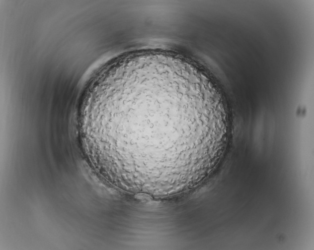 X0000112831172200909111350