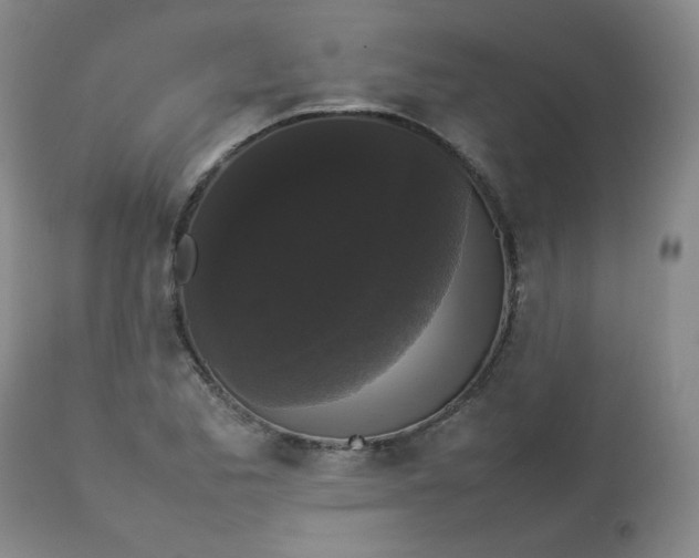 X0000112831173200909111350