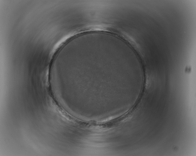 X0000112831174200909111350