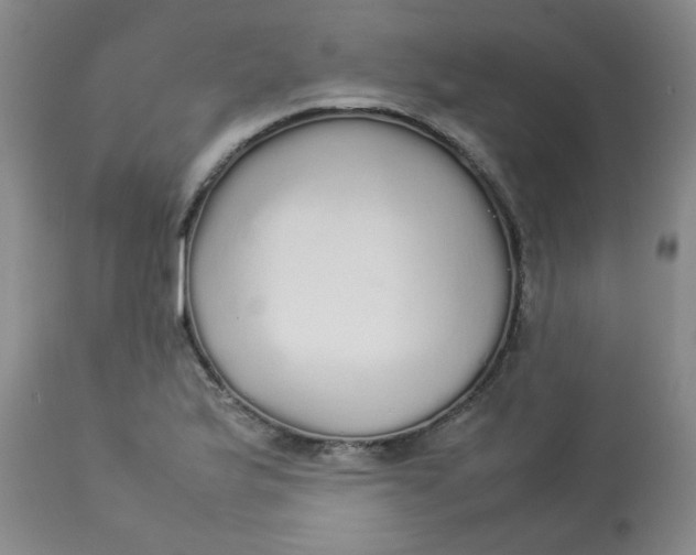 X0000112831175200909111350