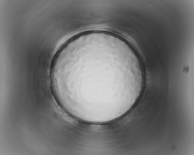 X0000112831176200909111350