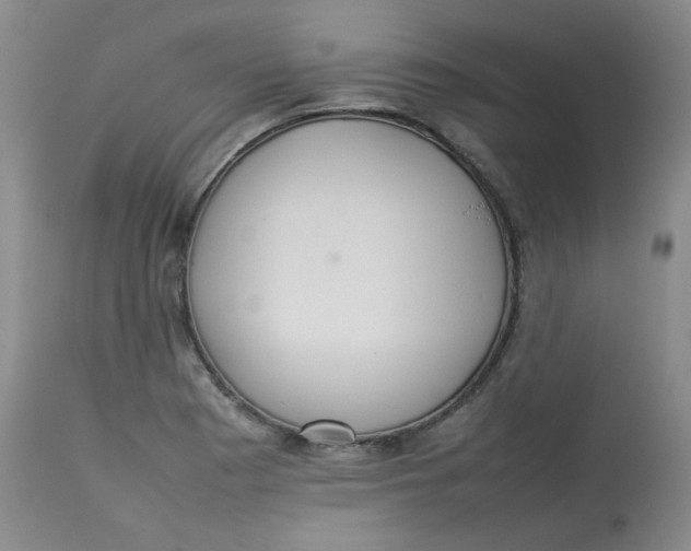 X0000112831177200909111350