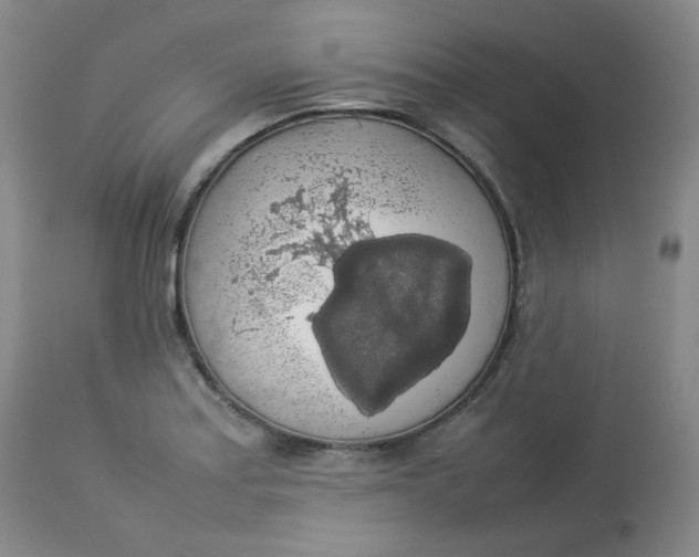 X0000112831179200909111350