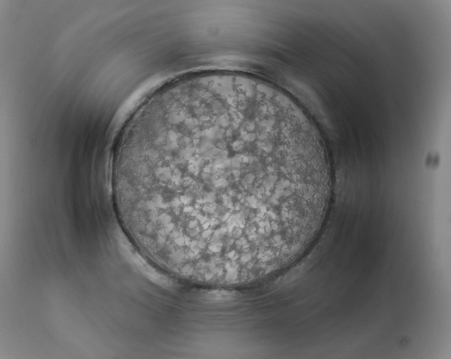 X0000112831180200909111350