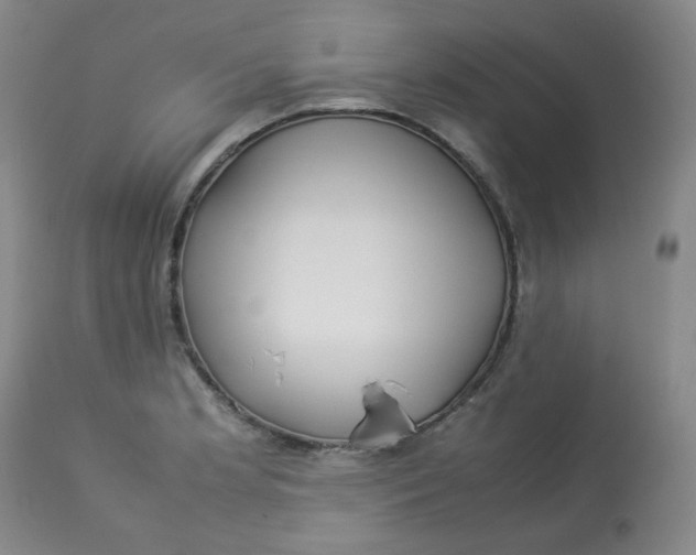 X0000112831181200909111350