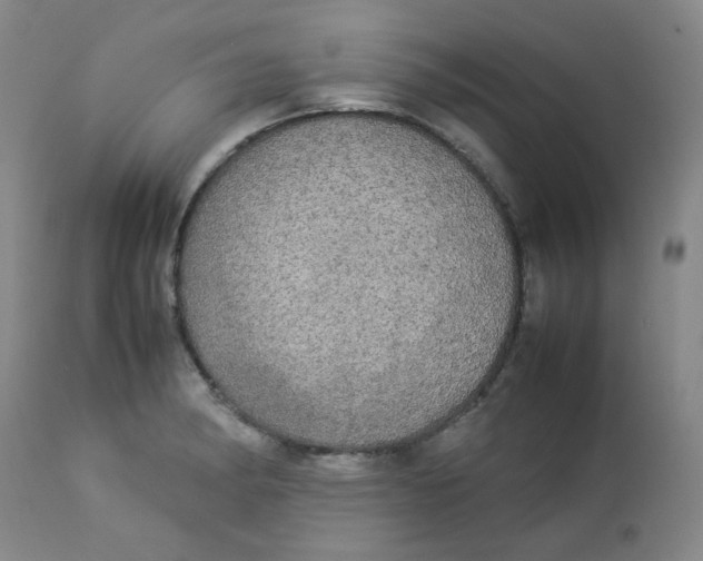 X0000112831182200909111350