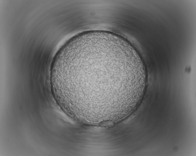 X0000112831184200909111350