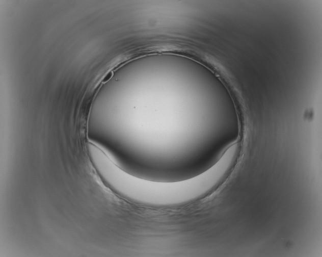 X0000112831185200909111350