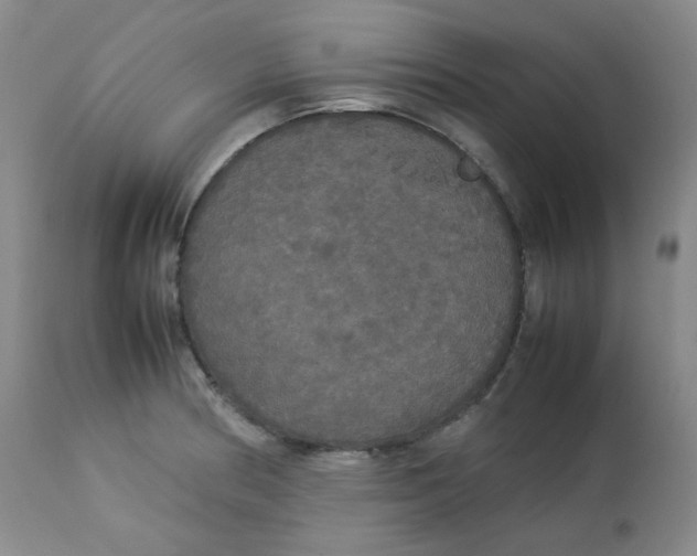 X0000112831186200909111350