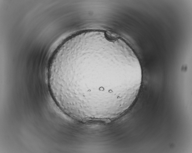 X0000112831188200909111350