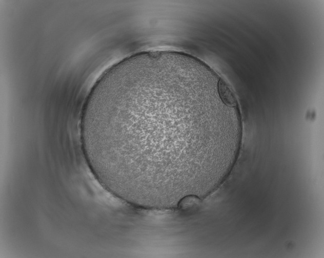 X0000112831189200909111350