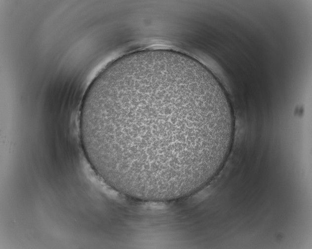 X0000112831190200909111350