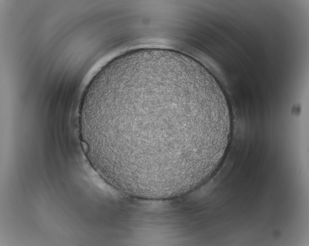 X0000112831192200909111350