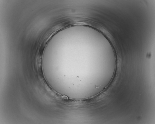 X0000112831193200909111350