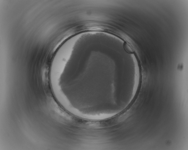 X0000112831194200909111350