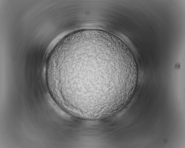 X0000112831196200909111350